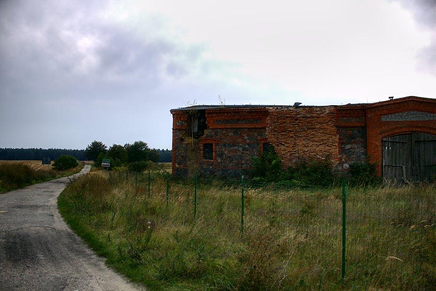 W Trzebieniu