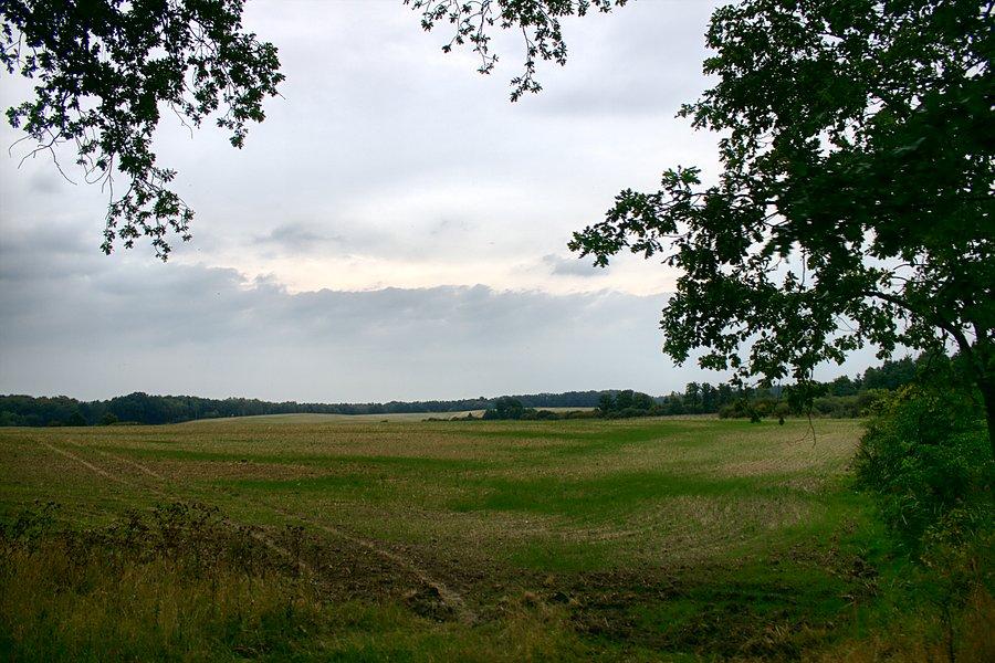 Przy drodze do Moskorzyna