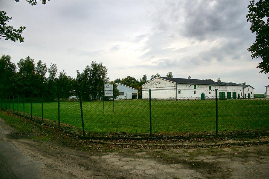 Stadnina koni w Moskorzynie