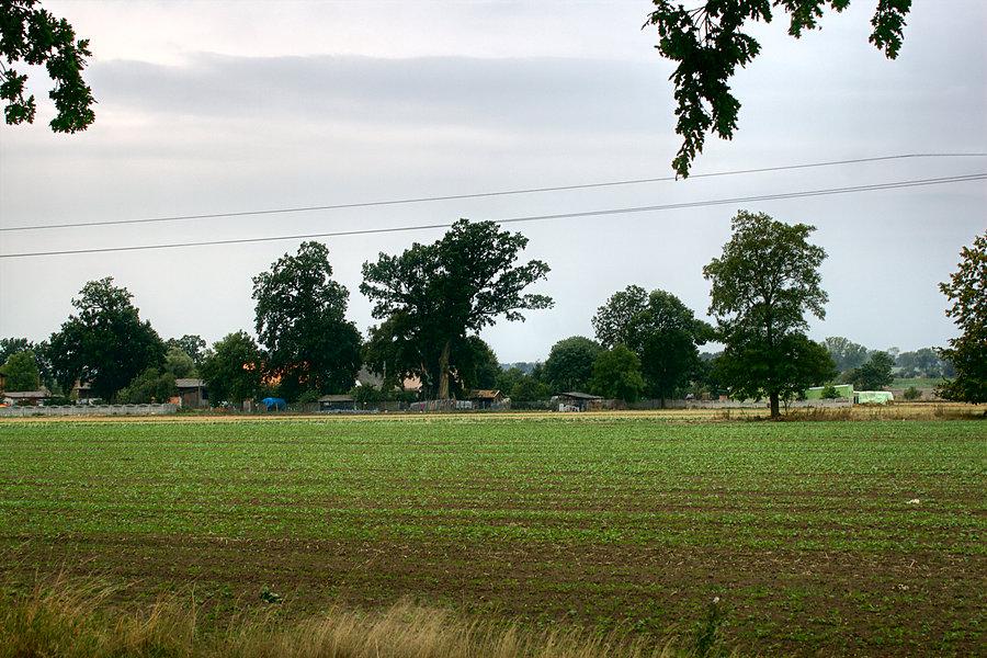 Kłęby