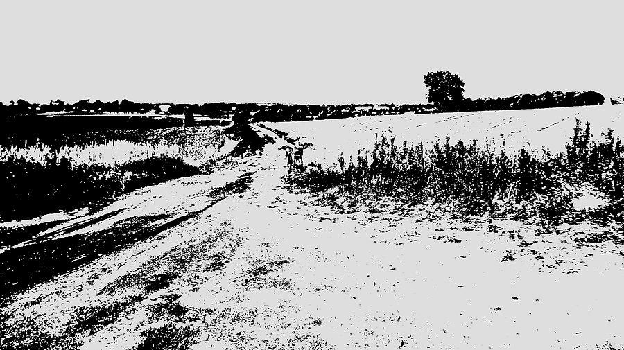 Okolice Tczewa