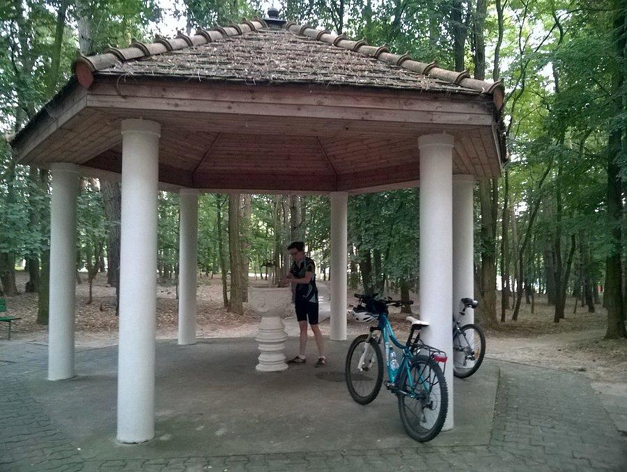 Ludwikowo