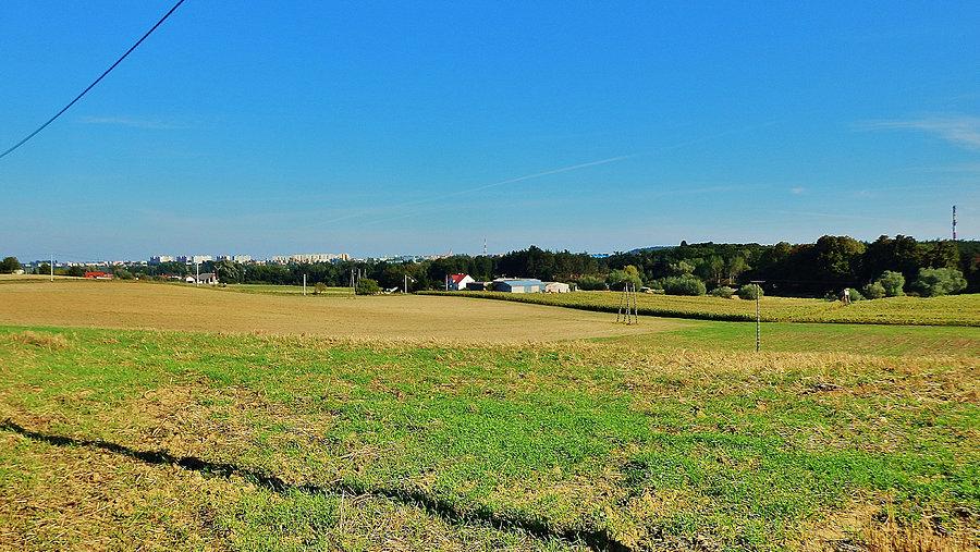Okolice Tczewa. Panorama na Tczew