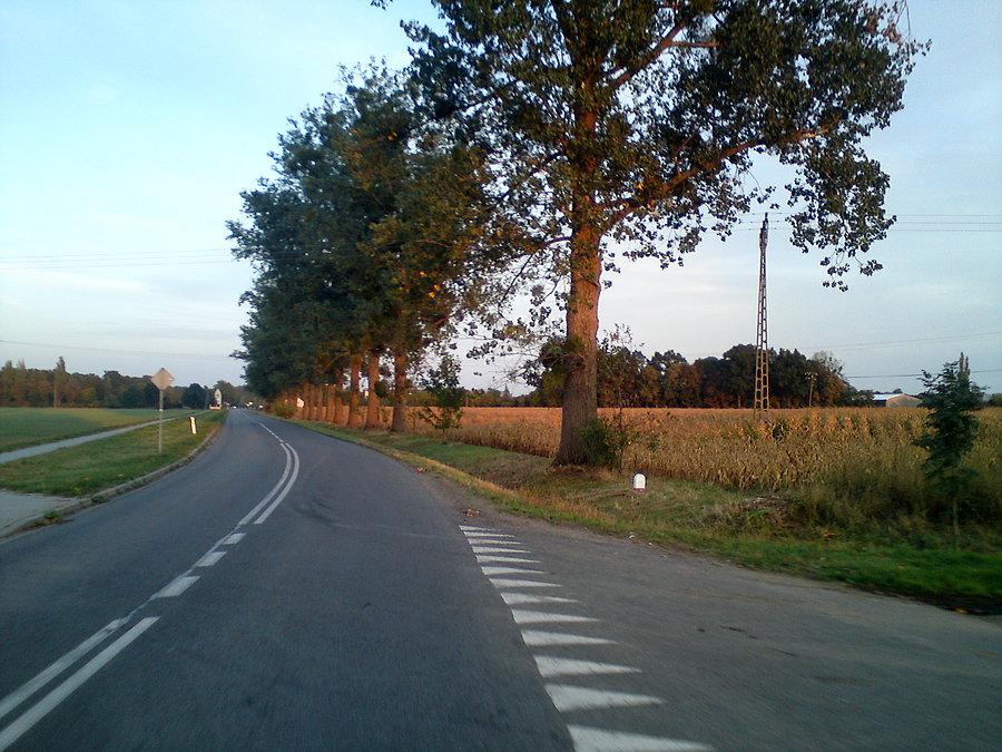 Wylotówka z Kościerzyc