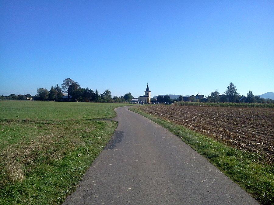 Bładnice