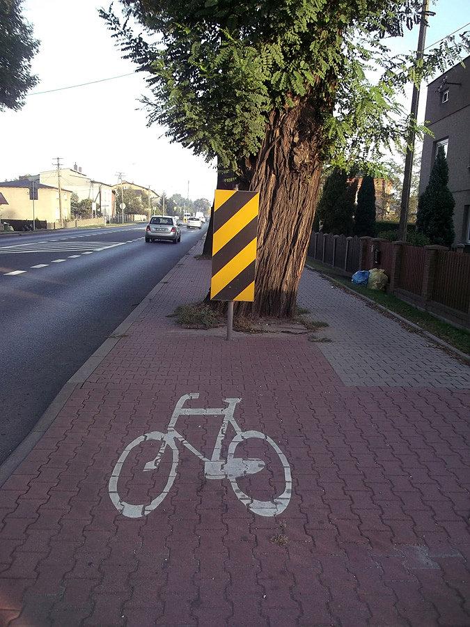 Typowa śląska ścieżka rowerowa. Drzewo na środku drogi? No problem!