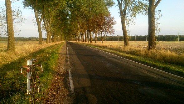 Długa prosta w kierunku Niedrzwicy Dużej