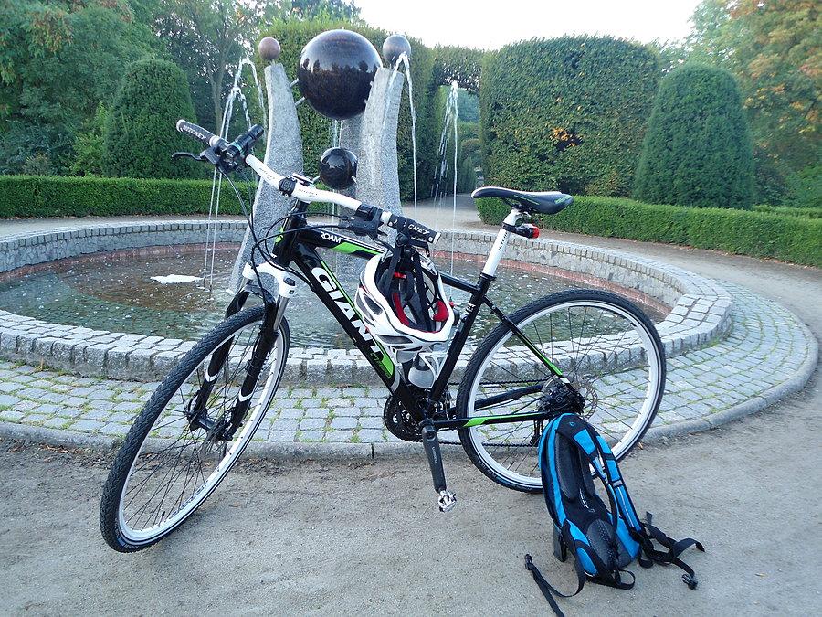W parku w Koźminie