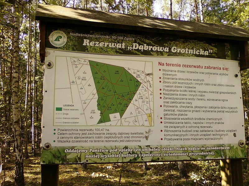 Rezerwat Dąbrowa Grotnicka