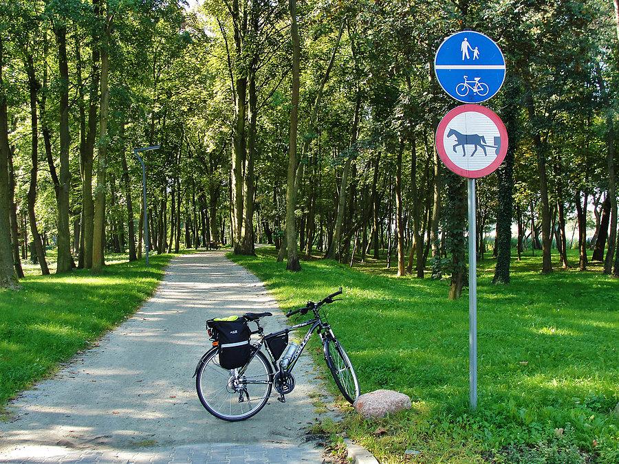 Wycieczka do Malborka. Malbork
