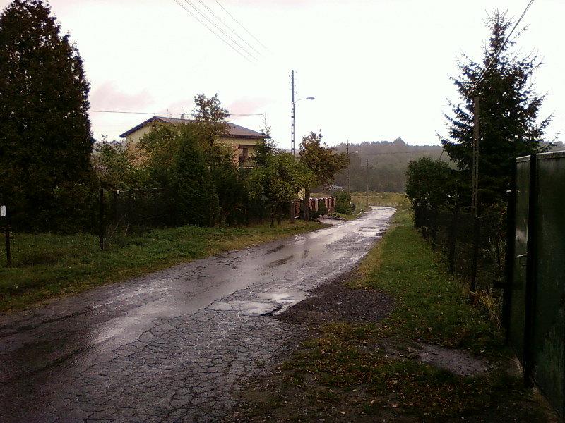 Ul. Żółwiowa