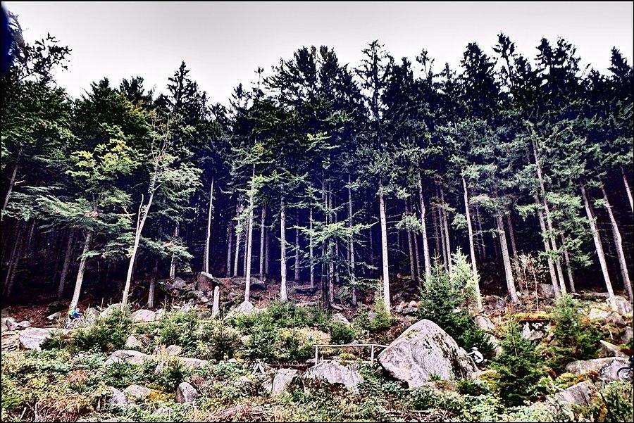 Trail Doktora Wissnera