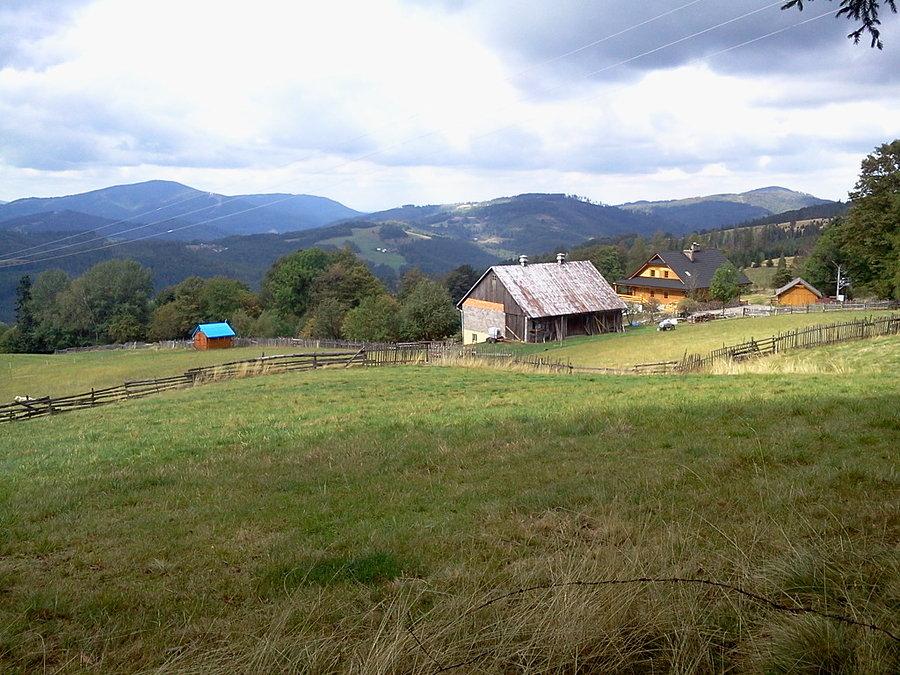 Nasze gronie