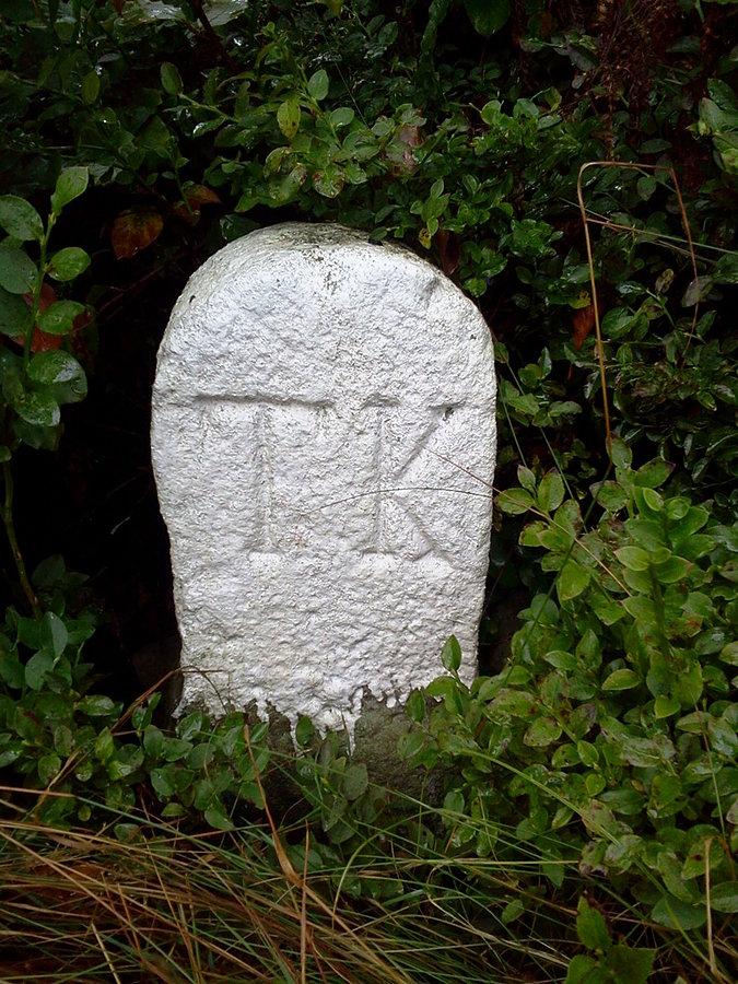 Przy szlaku stoi chyba z kilkanaście kamieni TK