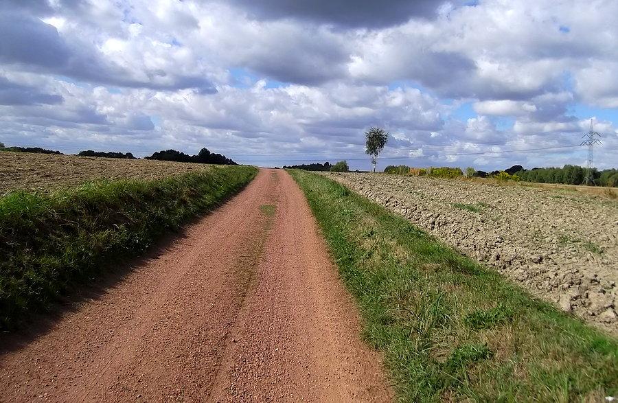 Z Wodzisławia do Pszowa jadę drogą szutrową