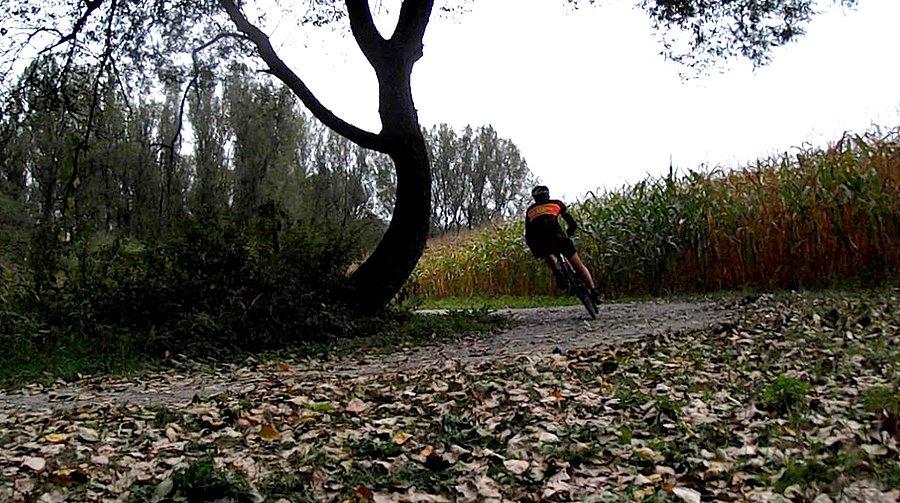 Ścieżka rowerowa Meandry Odry