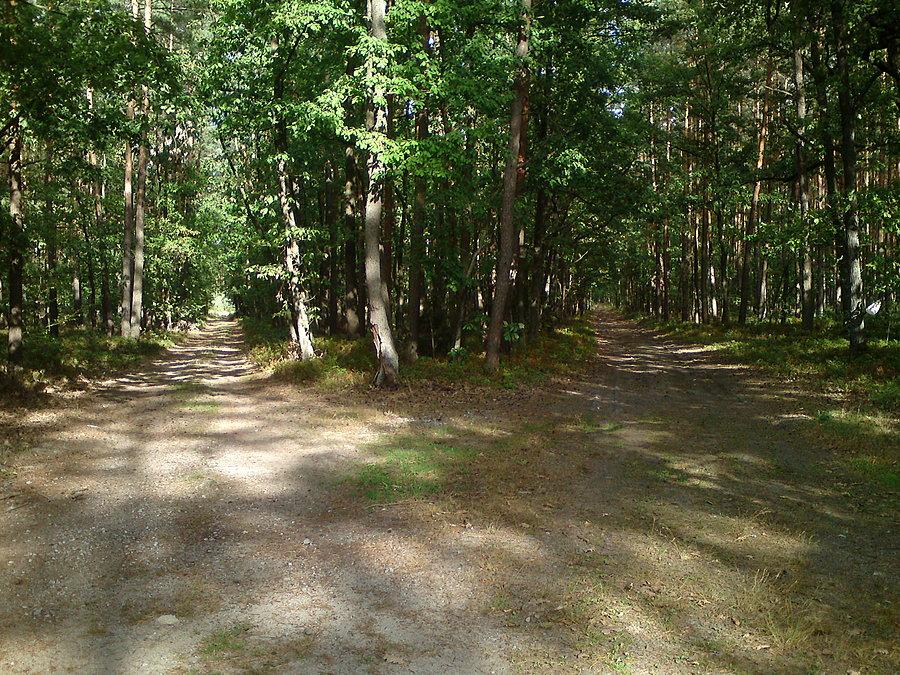 Dwie drogi na Tarnowiec, ostatecznie wybrana lewa