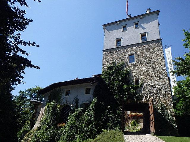 Zamek w Korzkwi