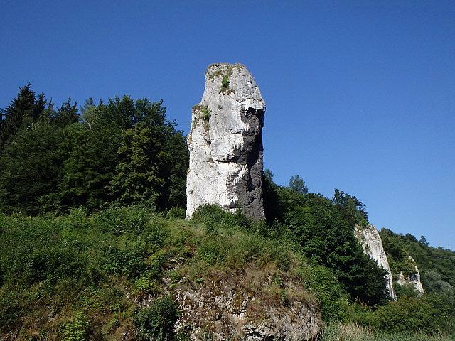 Maczuga Herkulesa