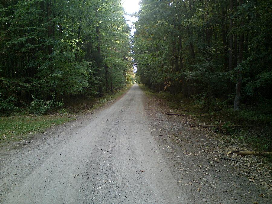 Sztajlinia do Dobrzynia