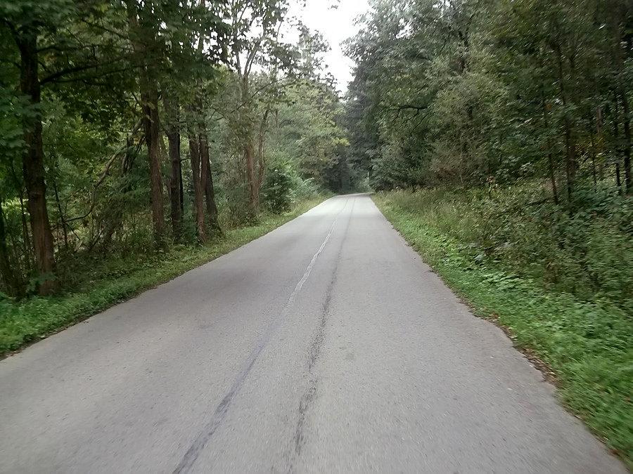 Wielka Puszcza