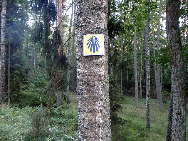 Wracałem Drogą Świętego Jakuba