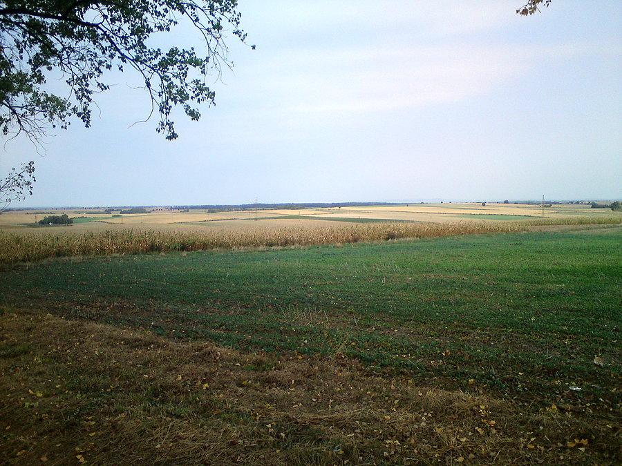 Płaskowyż Głubczycki