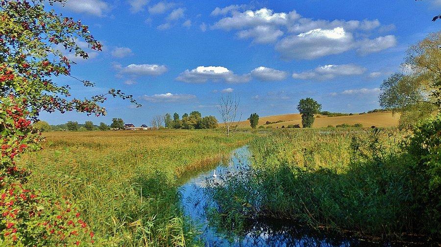 Okolice Tczewa