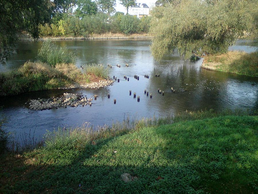 Wysychająca Odra