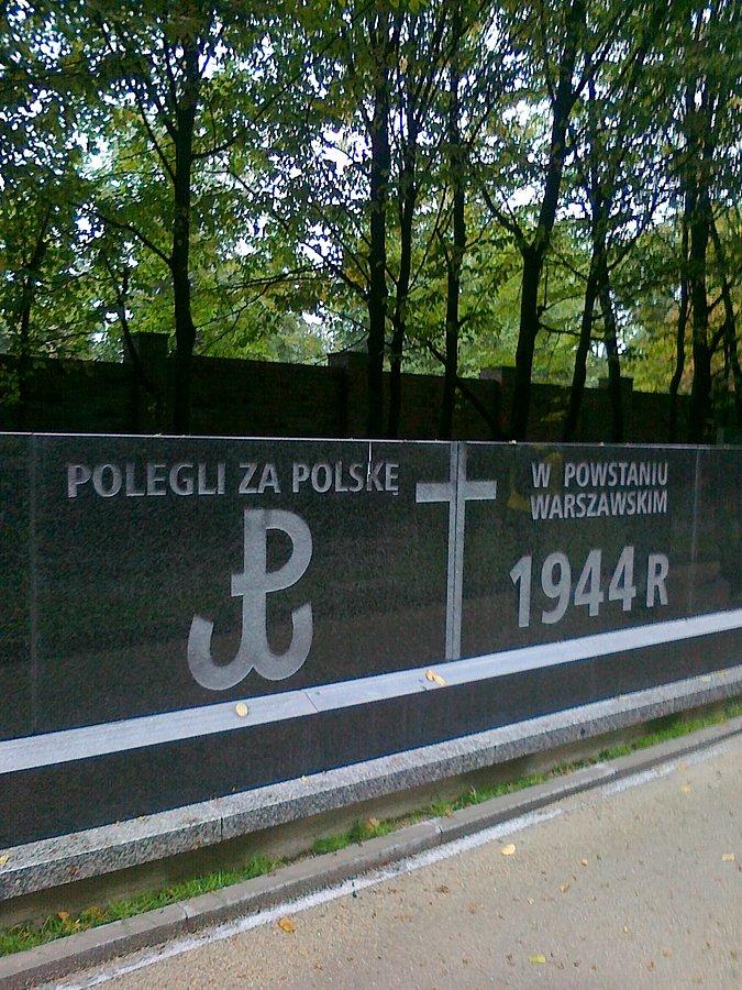 Jedna z alejek cmentarnych