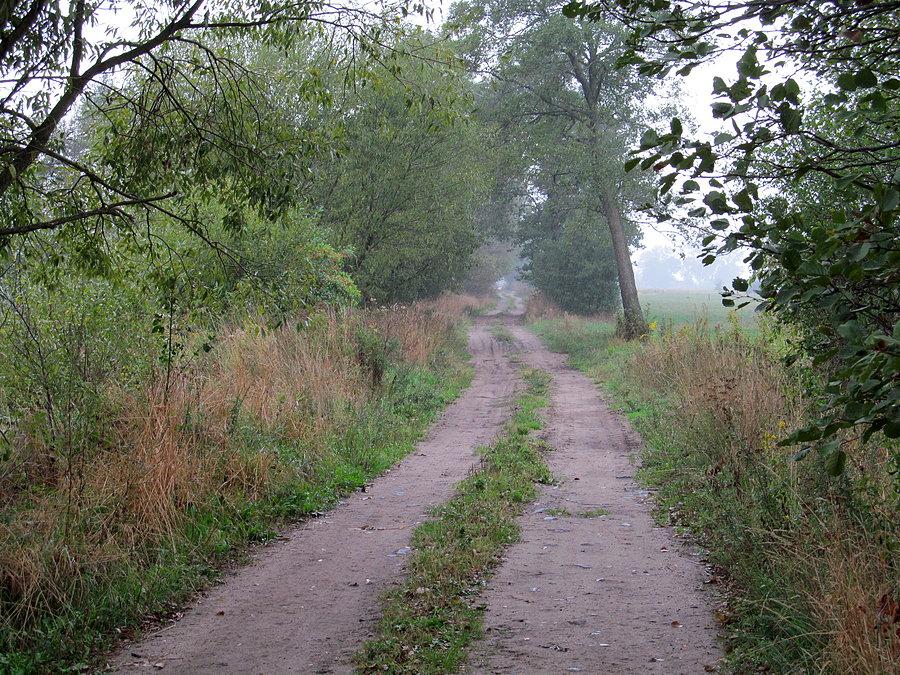 Trakt Pludwiński