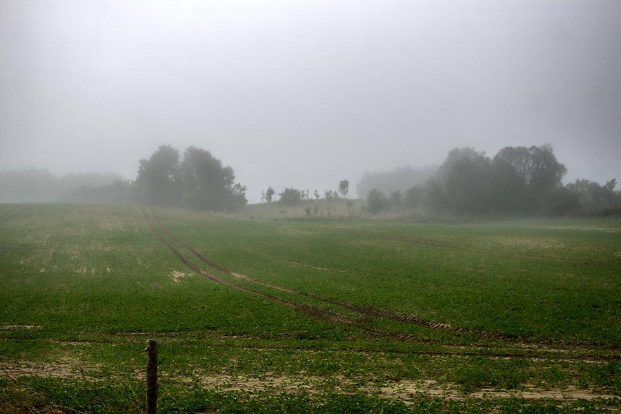 Zamglone przydrożne widoki za Reczem