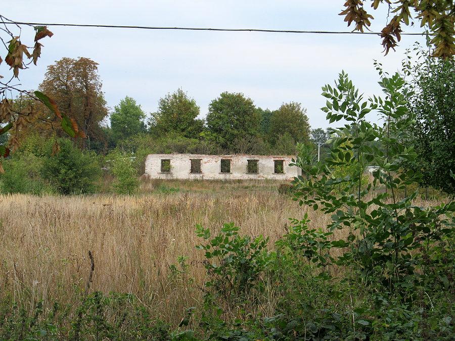 Gieczno - ruiny dworu