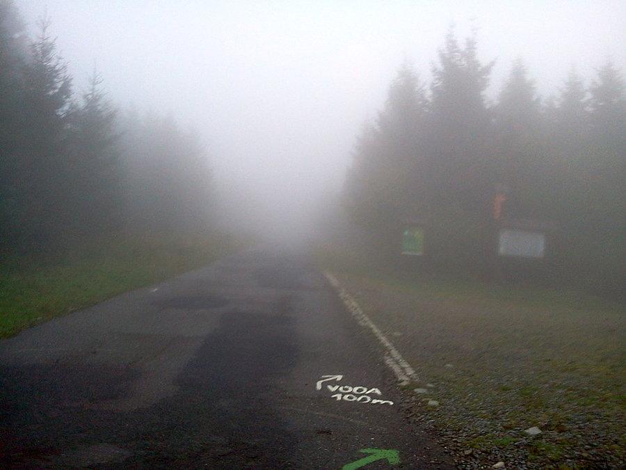 Mgła na podjeździe