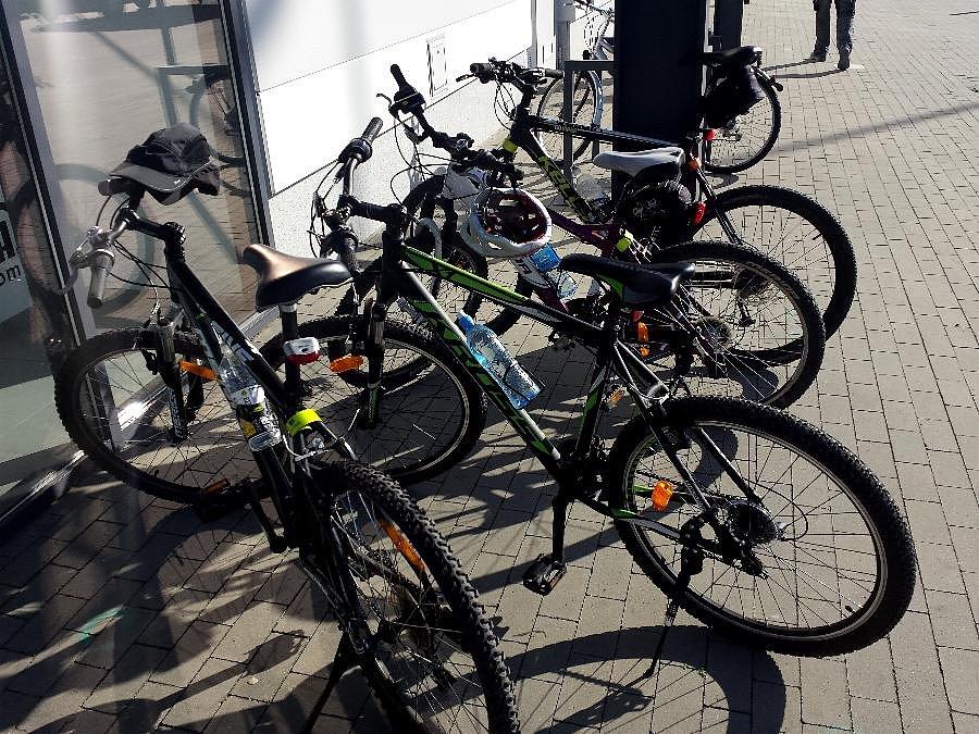 Nasze rumaki pod Outletem