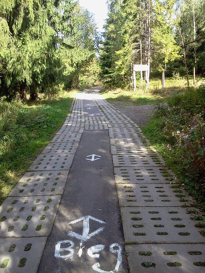 Ostatni kilometr