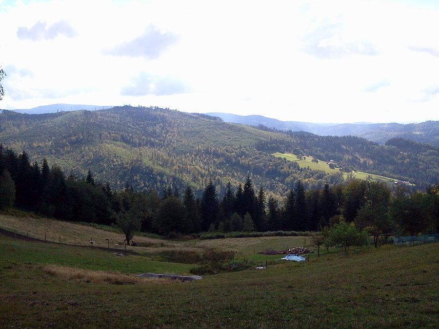 Widoczek
