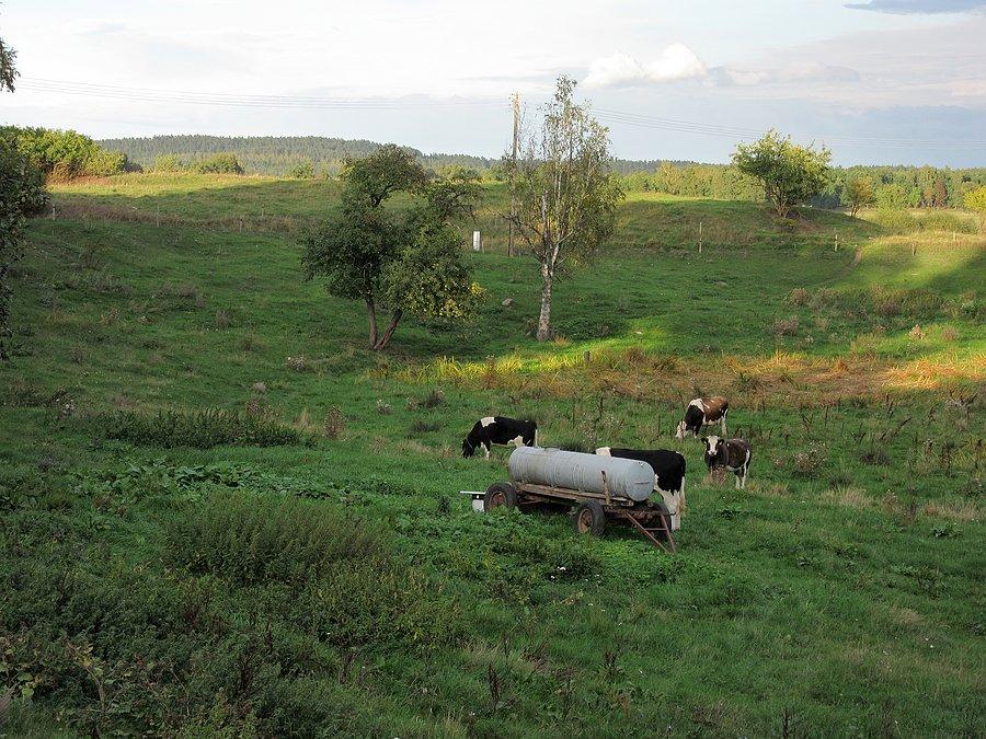 Dziubiele - przepiękne, wiejskie, mazurskie widoki