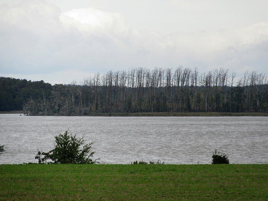 Jezioro Warnołty - płytka zatoka Jeziora Śniardwy