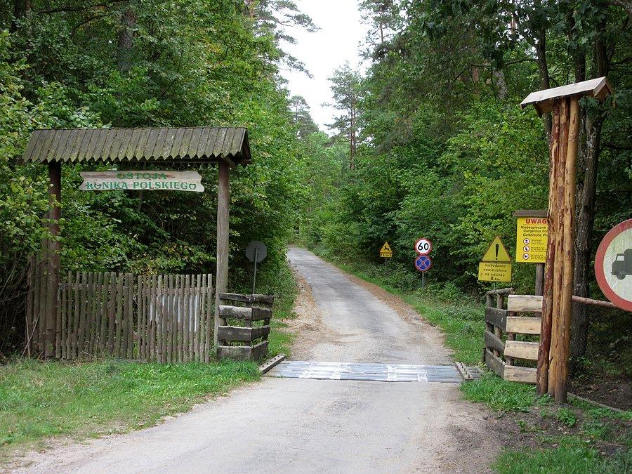 Wierzba - brama wjazdowa do ostoji konika polskiego