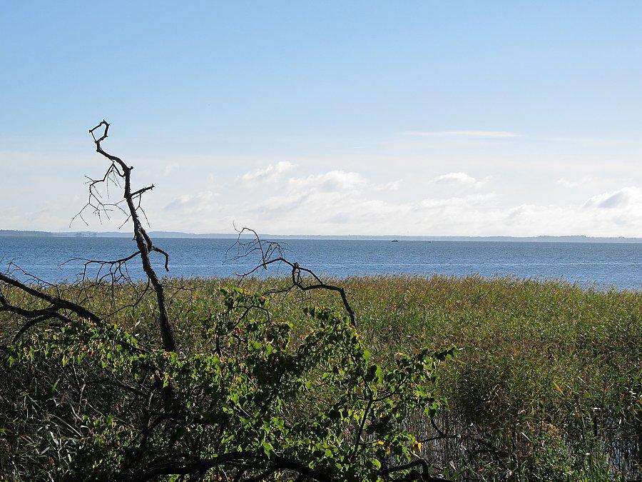 Jezioro Śniardwy - z Dybowskiego Rogu podziwiamy najwięsze jezioro w Polsce