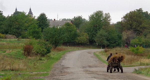 Koń na drodze