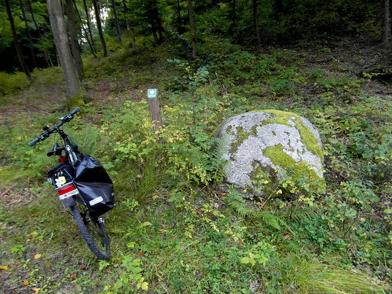 Trójmiejski Park Krajobrazowy - pomnik przyrody