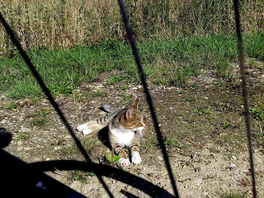 Na betonowej ścieżce rowerowej "Meandry Odry"