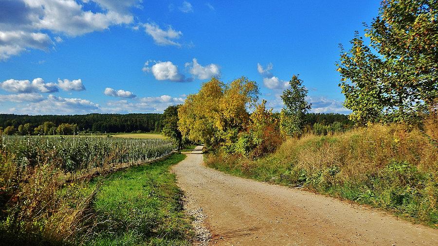 Wypad za miasto. Okolice Tczewa