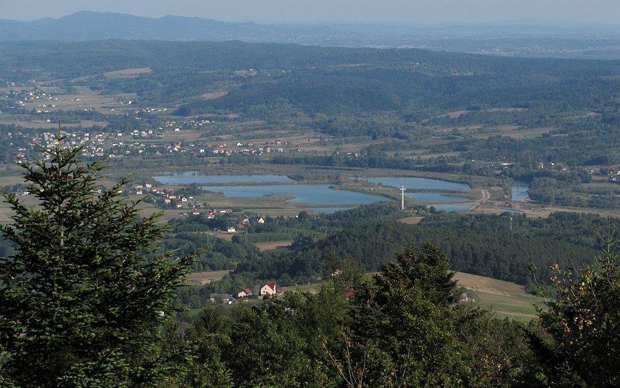 Stawy kołaczyckie