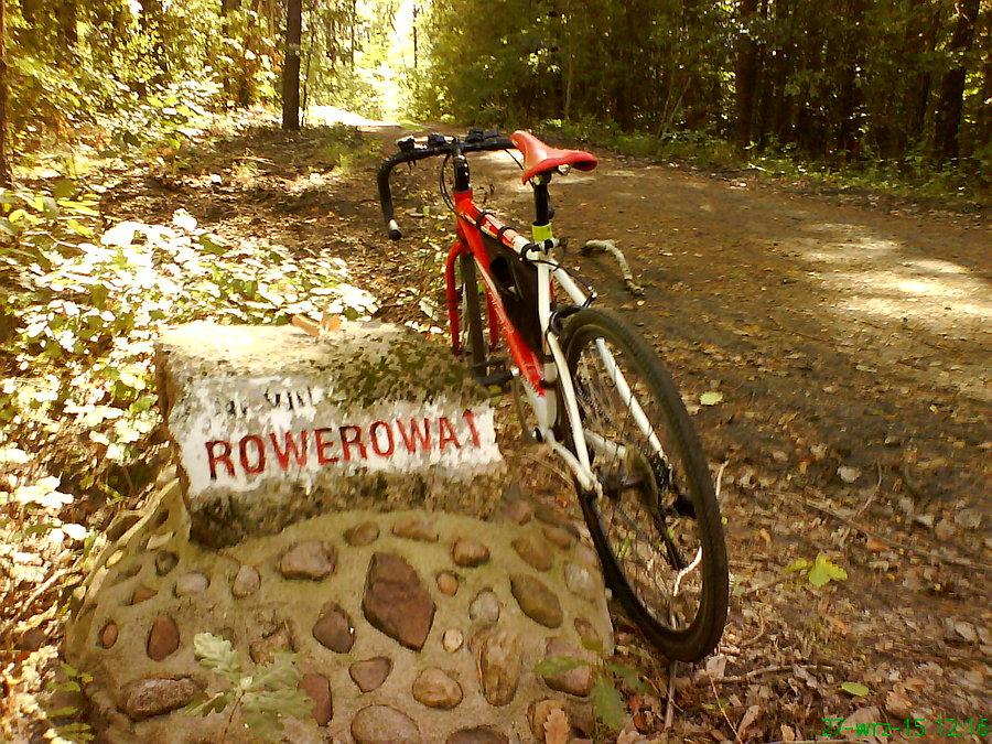Leśna droga pod Nowogrodem Bobrzańskim