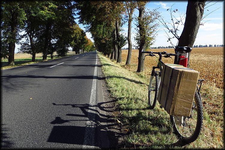 Transport wielkogabarytowy rowerem ;)