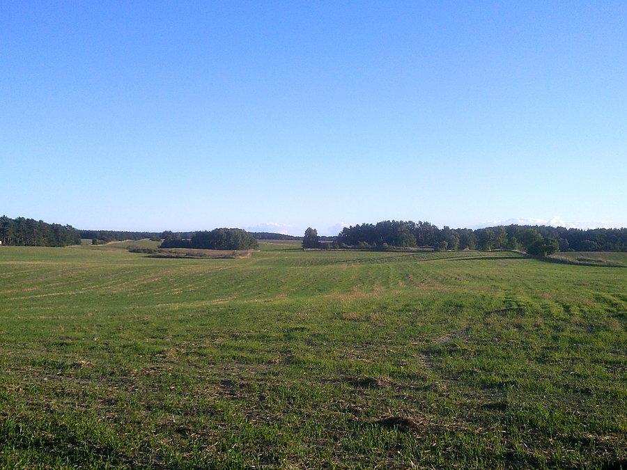 Łąka koło Blankensee