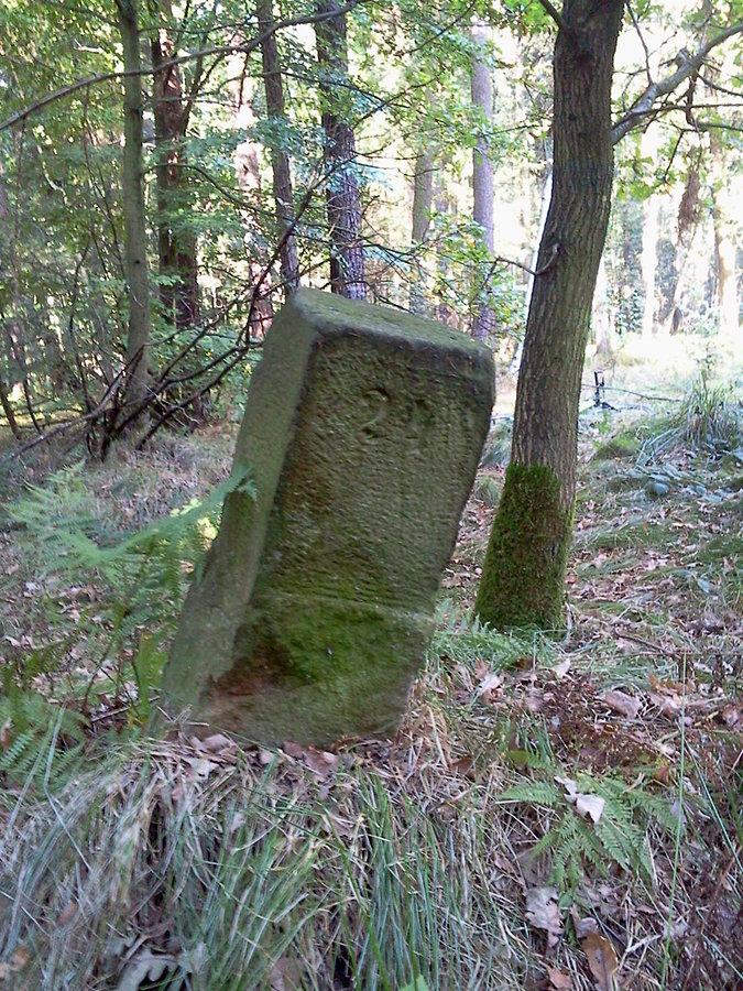 Słup pośredni z nr 24